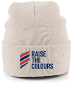 Raise the Colours Cuffed Embroidered Beanie - Image 4